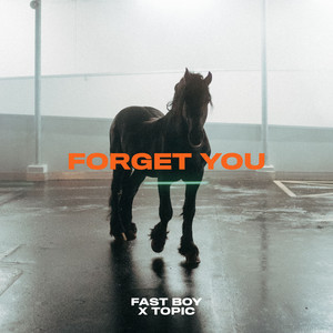 Fast Boy/Topic - Forget You