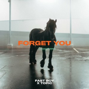Fast Boy & Topic - Forget You