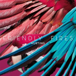 Friendly Fires - Hurting (Tensnake Remix)