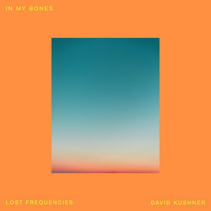 Lost Frequencies - In My Bones