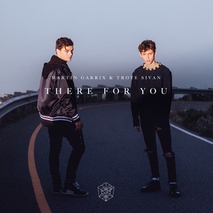 Martin Garrix - There For You
