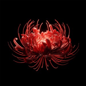 The Limba - С Кем Ты Играешь