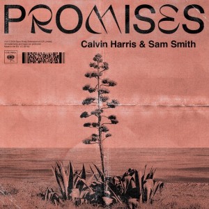 Calvin Harris/Sam Smith - Promises