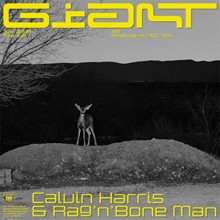 Calvin Harris/Rag'n'Bone Man - Giant