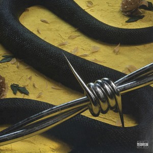 Post Malone/21 Savage - Rockstar