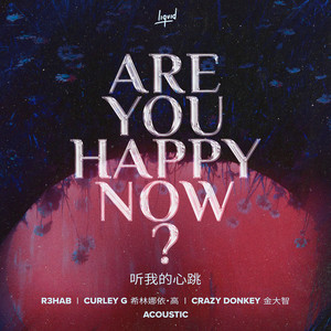 R3hab/Crazy Donkey - Are You Happy Now