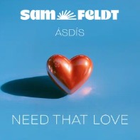 Sam Feldt & Asdis - Need That Love