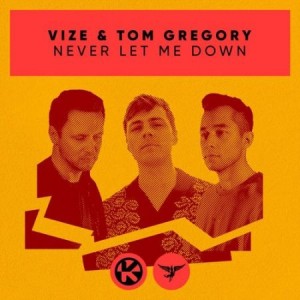 Vize/Tom Gregory - Never Let Me Down